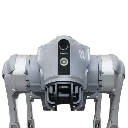 21_720x.webp